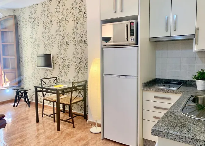 Lyrioshomes Malaga La Merced Centro